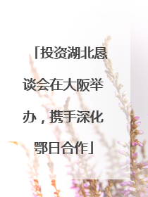 投资湖北恳谈会在大阪举办，携手深化鄂日合作