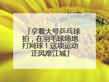 拿着大号乒乓球拍，在羽毛球场地打网球！这项运动正风靡江城