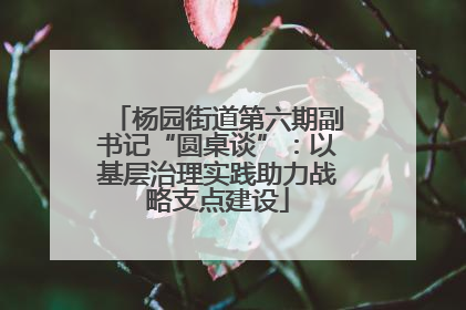 杨园街道第六期副书记“圆桌谈”：以基层治理实践助力战略支点建设