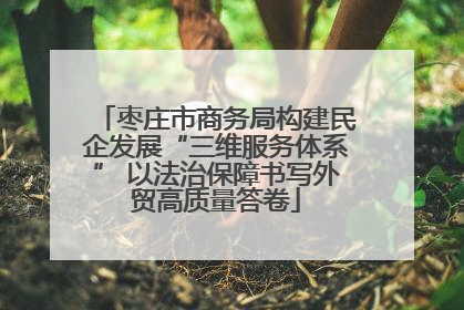 枣庄市商务局构建民企发展“三维服务体系” 以法治保障书写外贸高质量答卷