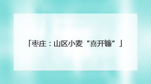 枣庄：山区小麦“喜开镰”