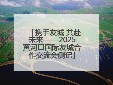 携手友城 共赴未来——2025黄河口国际友城合作交流会侧记