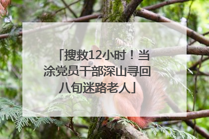 搜救12小时！当涂党员干部深山寻回八旬迷路老人