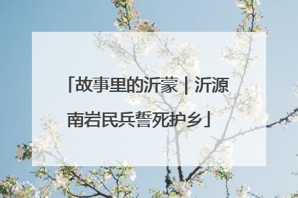 故事里的沂蒙｜沂源南岩民兵誓死护乡