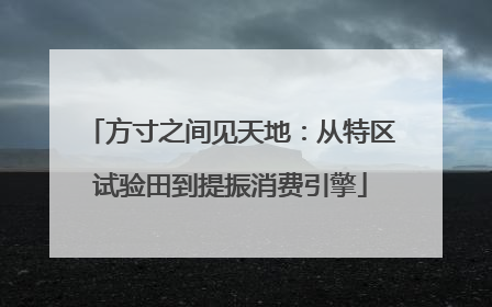 方寸之间见天地：从特区试验田到提振消费引擎