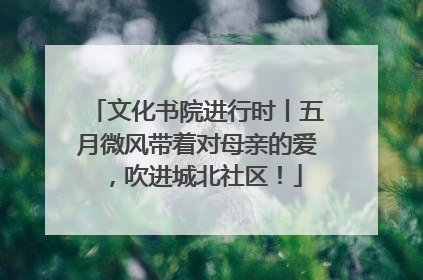 文化书院进行时丨五月微风带着对母亲的爱，吹进城北社区！