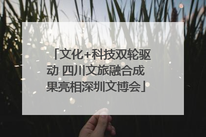 文化+科技双轮驱动 四川文旅融合成果亮相深圳文博会