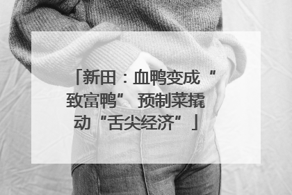 新田：血鸭变成“致富鸭” 预制菜撬动“舌尖经济”