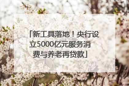 新工具落地！央行设立5000亿元服务消费与养老再贷款