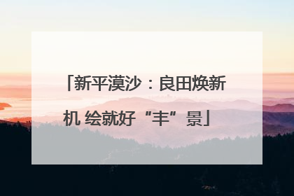 新平漠沙：良田焕新机 绘就好“丰”景