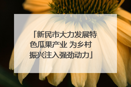 新民市大力发展特色瓜果产业 为乡村振兴注入强劲动力