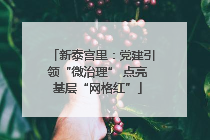 新泰宫里：党建引领“微治理” 点亮基层“网格红”