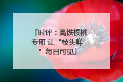 时评：高铁樱桃专厢 让“枝头鲜”每日可见