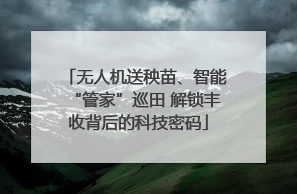无人机送秧苗、智能“管家”巡田 解锁丰收背后的科技密码
