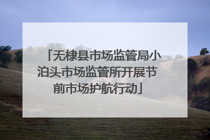 无棣县市场监管局小泊头市场监管所开展节前市场护航行动