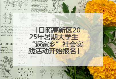 日照高新区2025年暑期大学生“返家乡”社会实践活动开始报名