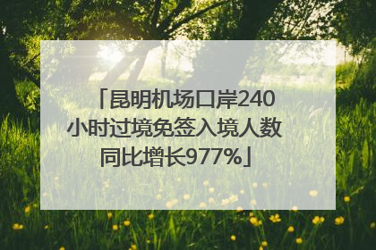 昆明机场口岸240小时过境免签入境人数同比增长977%