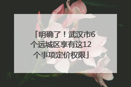明确了！武汉市6个远城区享有这12个事项定价权限