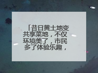 昔日黄土地变共享菜地，不仅环境美了，市民多了体验乐趣，村民还能增收