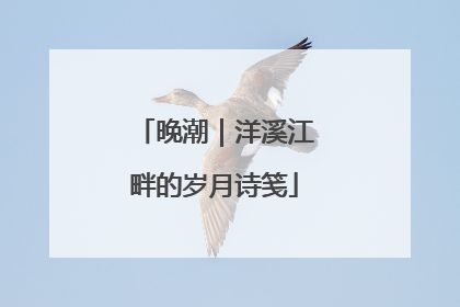 晚潮｜洋溪江畔的岁月诗笺