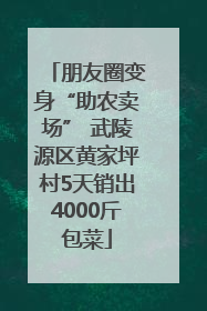 朋友圈变身“助农卖场” 武陵源区黄家坪村5天销出4000斤包菜