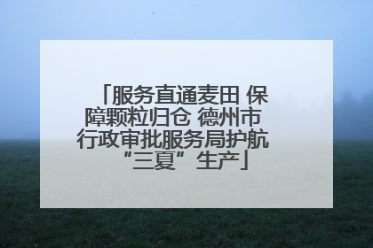 服务直通麦田 保障颗粒归仓 德州市行政审批服务局护航“三夏”生产