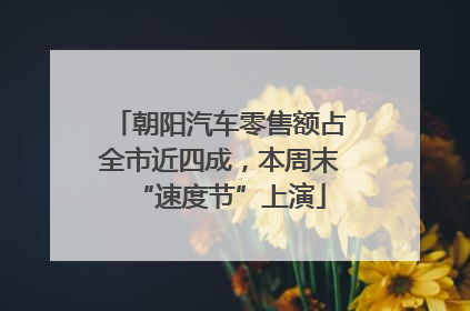 朝阳汽车零售额占全市近四成，本周末“速度节”上演