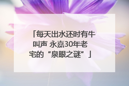 每天出水还时有牛叫声 永嘉30年老宅的“泉眼之谜”