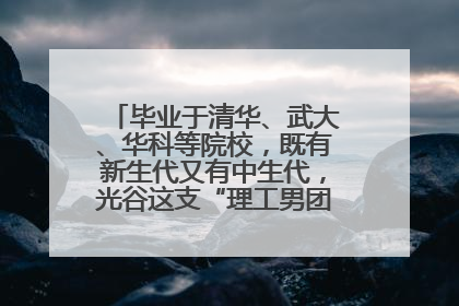 毕业于清华、武大、华科等院校，既有新生代又有中生代，光谷这支“理工男团”为何“出道”？