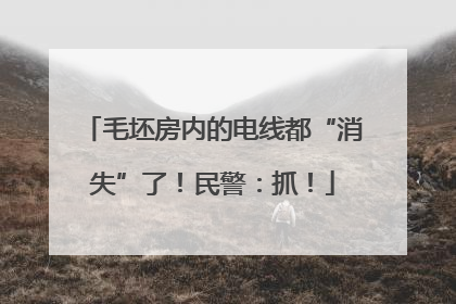 毛坯房内的电线都“消失”了！民警：抓！