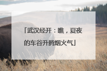 武汉经开：瞧，夏夜的车谷升腾烟火气