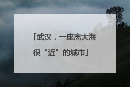 武汉，一座离大海很“近”的城市