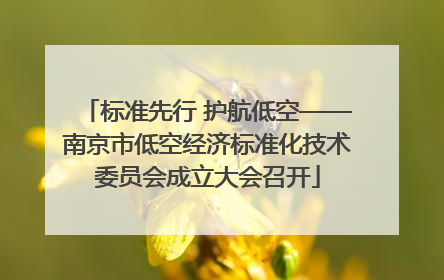 标准先行 护航低空——南京市低空经济标准化技术委员会成立大会召开