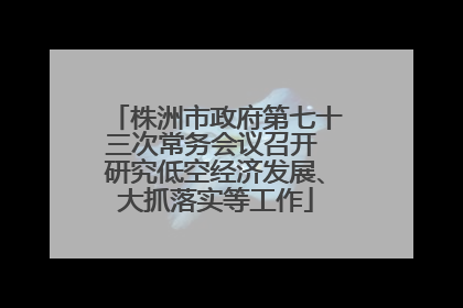 株洲市政府第七十三次常务会议召开 研究低空经济发展、大抓落实等工作