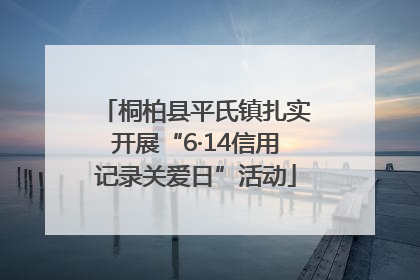 桐柏县平氏镇扎实开展“6·14信用记录关爱日”活动