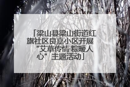 梁山县梁山街道红旗社区良嘉小区开展“艾草传情·粽暖人心”主题活动