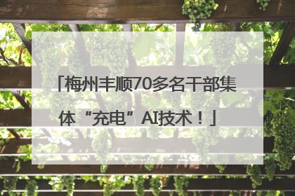 梅州丰顺70多名干部集体“充电”AI技术！