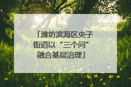 潍坊滨海区央子街道以“三个问”融合基层治理