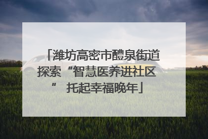 潍坊高密市醴泉街道探索“智慧医养进社区” 托起幸福晚年