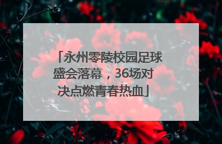 永州零陵校园足球盛会落幕，36场对决点燃青春热血