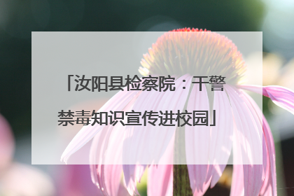 汝阳县检察院：干警禁毒知识宣传进校园