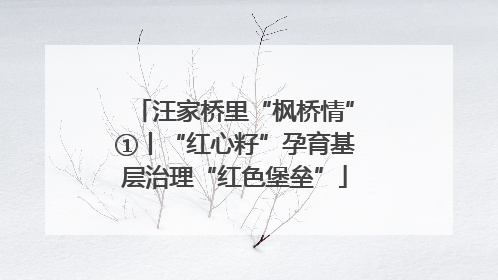 汪家桥里“枫桥情”①丨“红心籽”孕育基层治理“红色堡垒”
