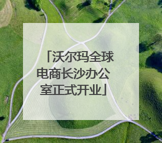 沃尔玛全球电商长沙办公室正式开业