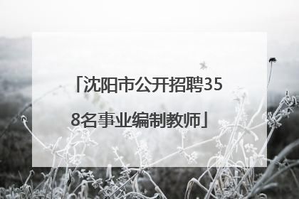 沈阳市公开招聘358名事业编制教师