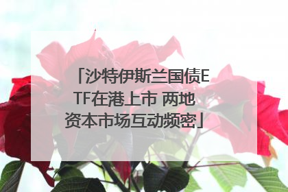 沙特伊斯兰国债ETF在港上市 两地资本市场互动频密