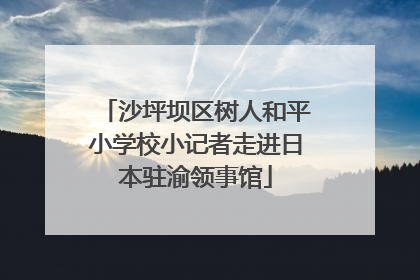沙坪坝区树人和平小学校小记者走进日本驻渝领事馆