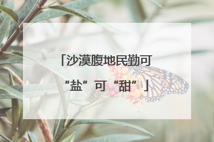沙漠腹地民勤可“盐”可“甜”