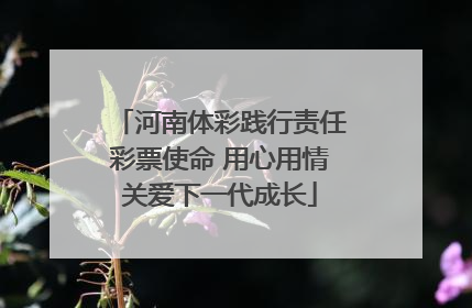 河南体彩践行责任彩票使命 用心用情关爱下一代成长