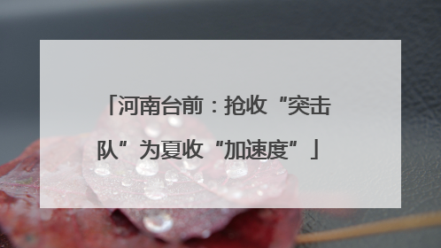 河南台前：抢收“突击队”为夏收“加速度”
