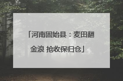 河南固始县：麦田翻金浪 抢收保归仓